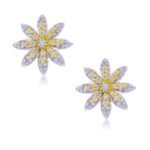 Stud Earrings 2513